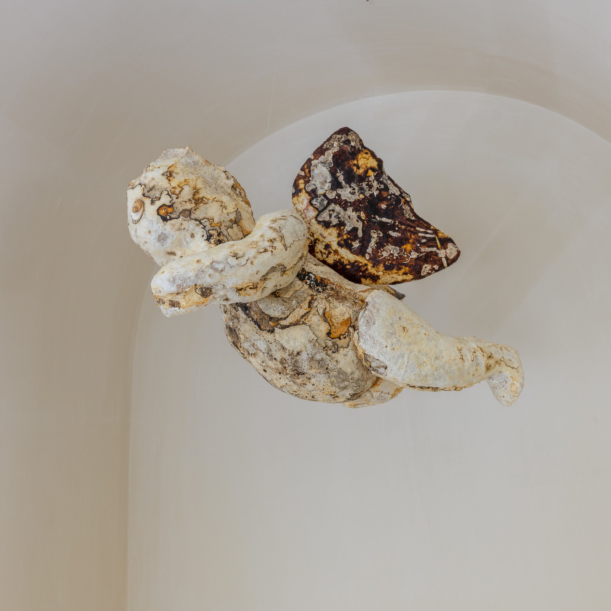 Nour Mobarak, Cupid Copy, detail, Trametes versicolor mycelium, glass beads, 32 cm x 45 cm 32 cm (12 5/8 x 17 3/4 x 12 5/8 in), 2023
