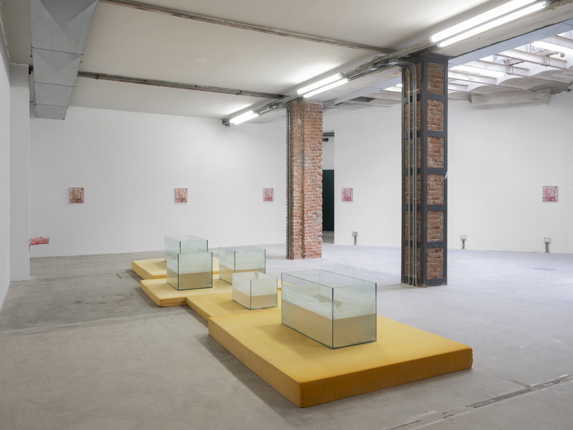 Shahryar Nashat, Installation view, DEEPER AND DEEPER, Ordet, Milan, 2023