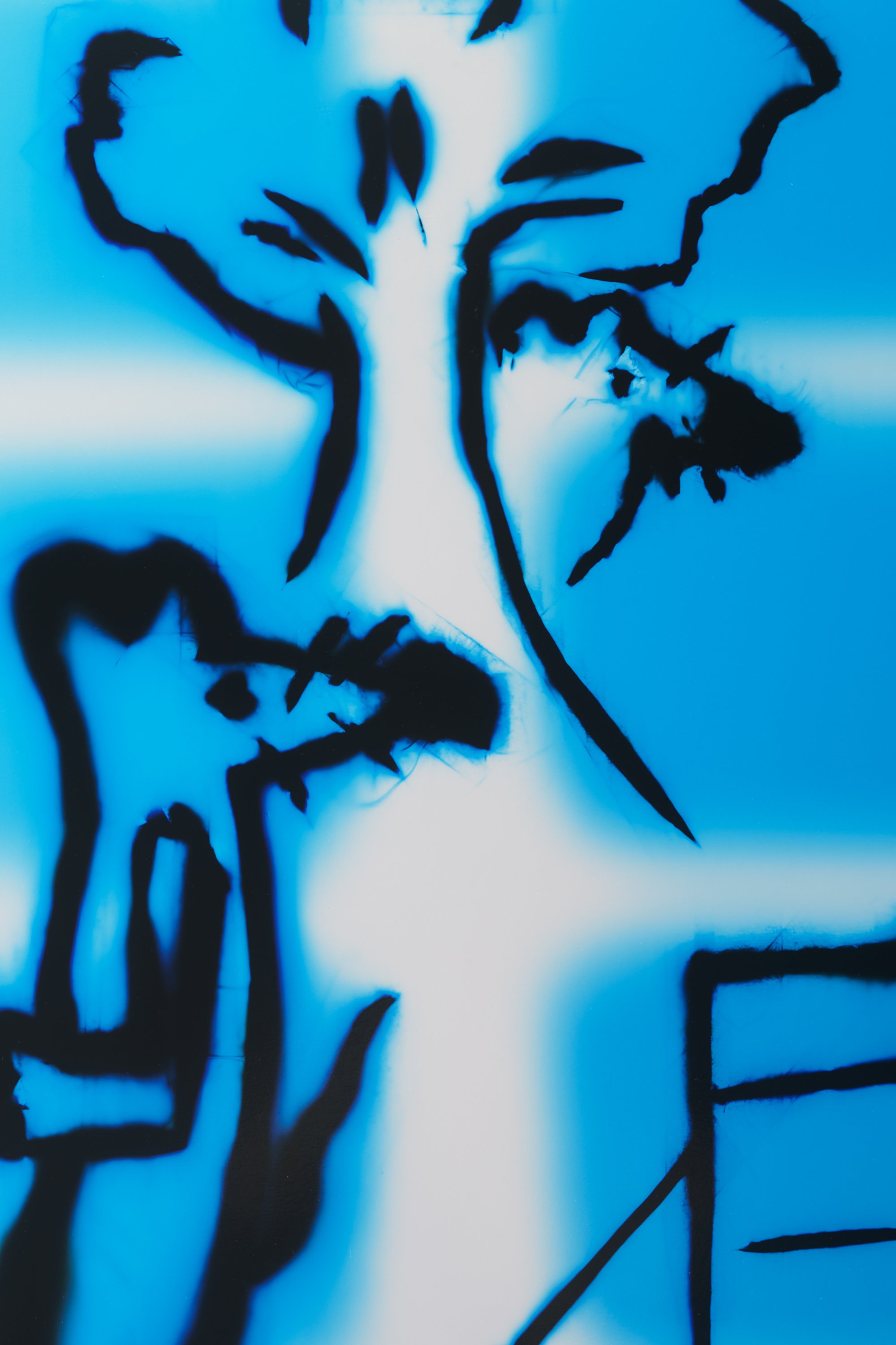 Hadi Fallahpisheh, Cat and Mouse talking about Dog, detail, light drawing on photosensitive paper112 x 205 x 5 cm, 2021