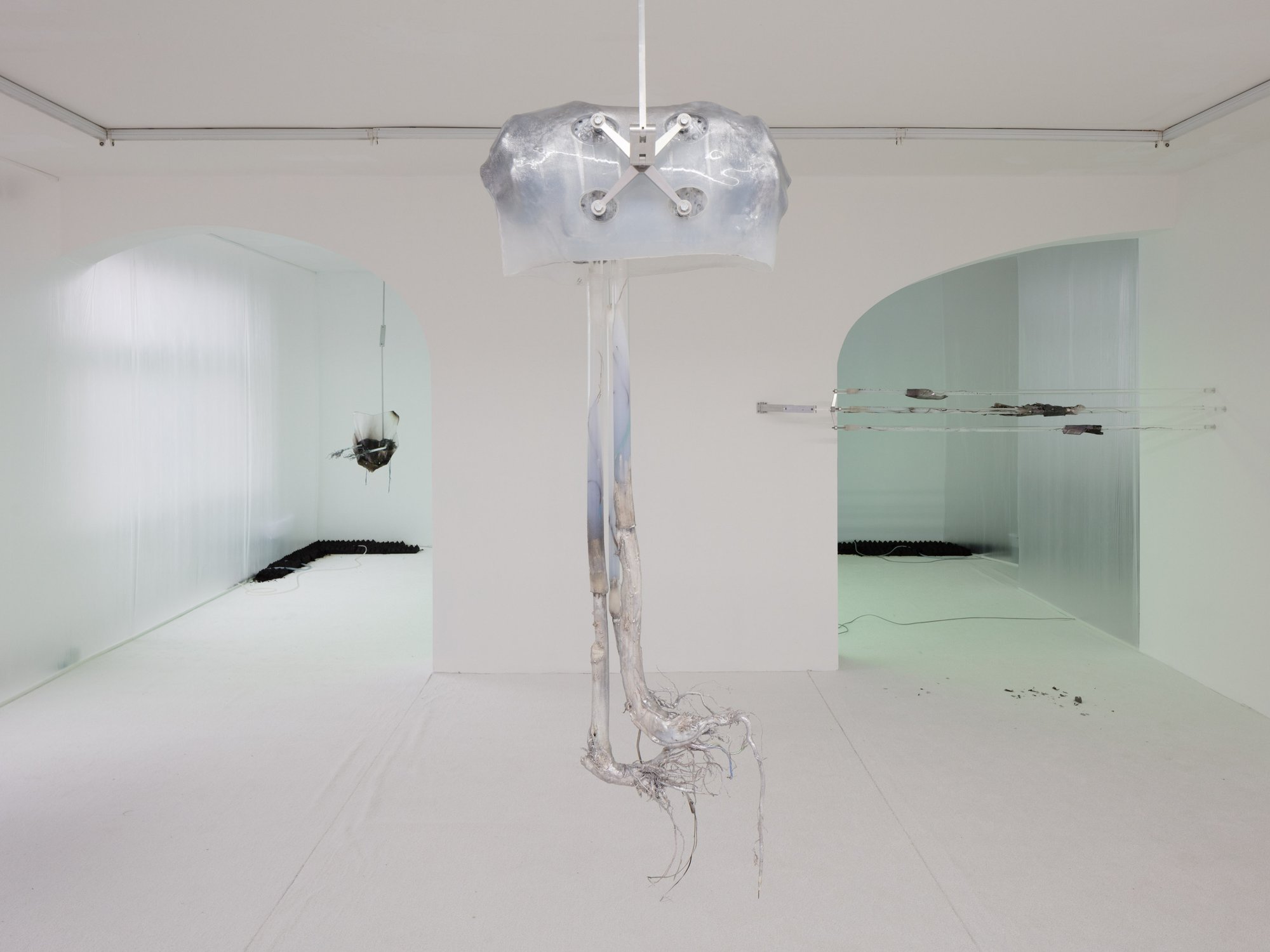 Installation view, Adriano Amaral, Condo, Rodeo, London, 2019