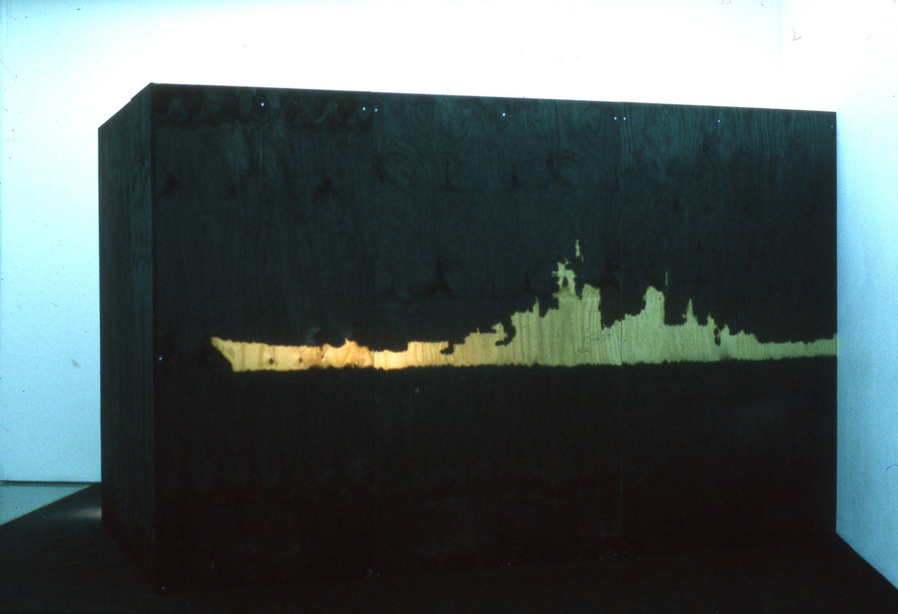 Mark Aerial Waller, Midwatch (external view), infrared video to DIGIbeta, 7 min., 1999 - 2001
