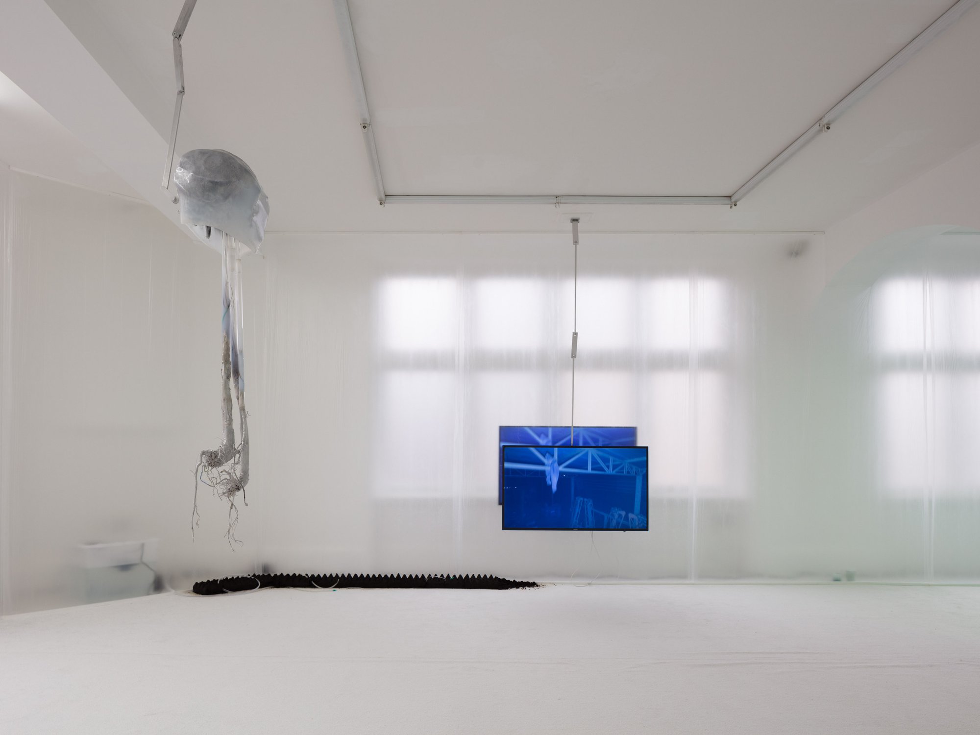 Adriano Amaral, installation view, Condo, Rodeo, London, 2019.