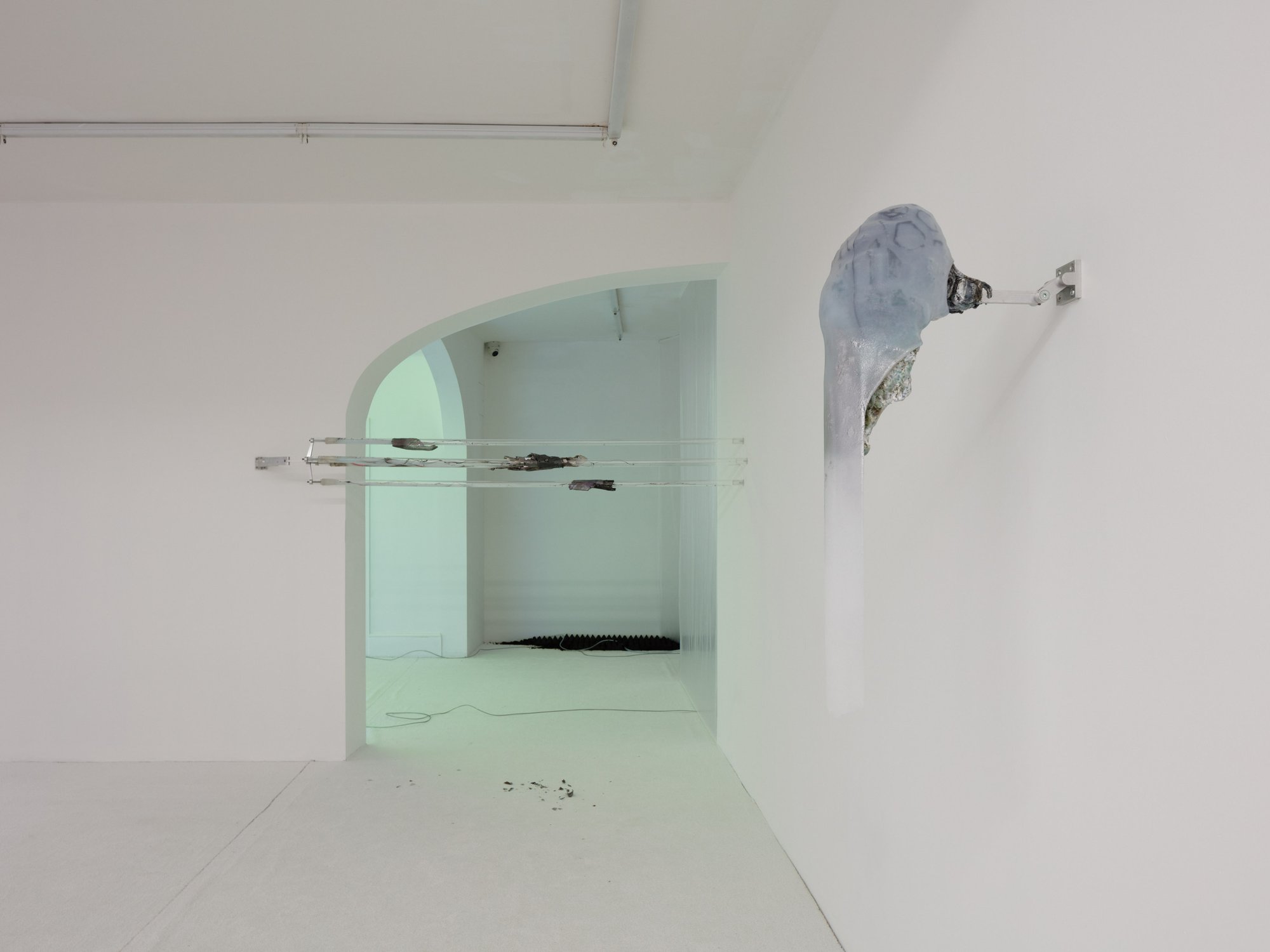 Adriano Amaral, installation view, Condo, Rodeo, London, 2019.