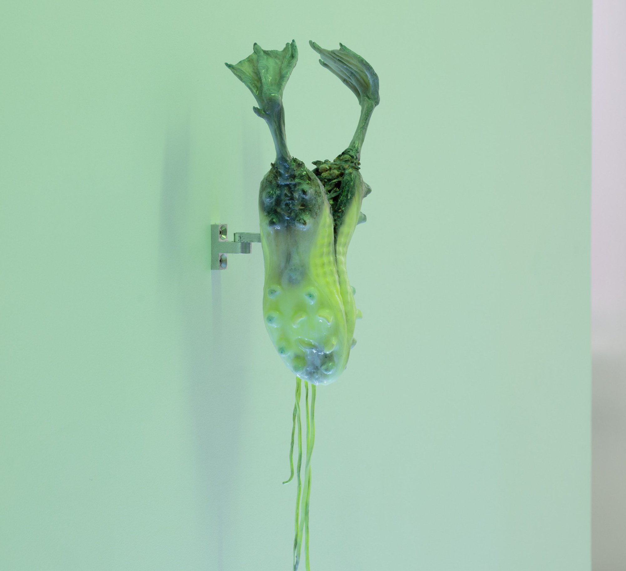 Adriano Amaral, Untitled, aluminum structure, burned football boots, goose feet, grasshop‐ pers, silicone, reflective glass beads, 2018. Installation view, Condo, Rodeo, London, 2019.