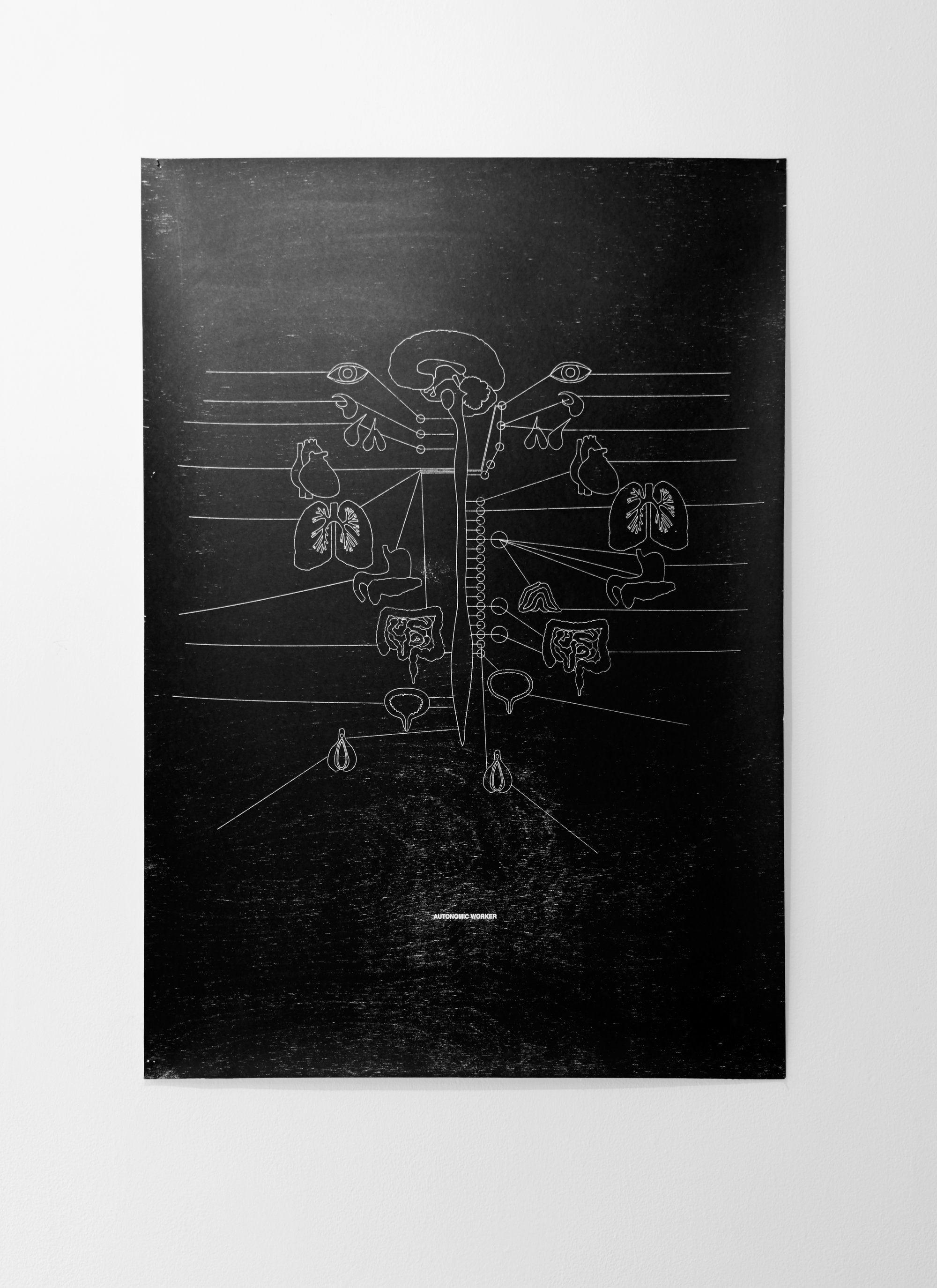 Sidsel Meineche Hansen, Autonomic Worker, laser woodcut on paper, mounted on aluminium under museum glass, 101.3 x 70.7 cm (39 7/8 x 27 7/8 in), 2013/2016