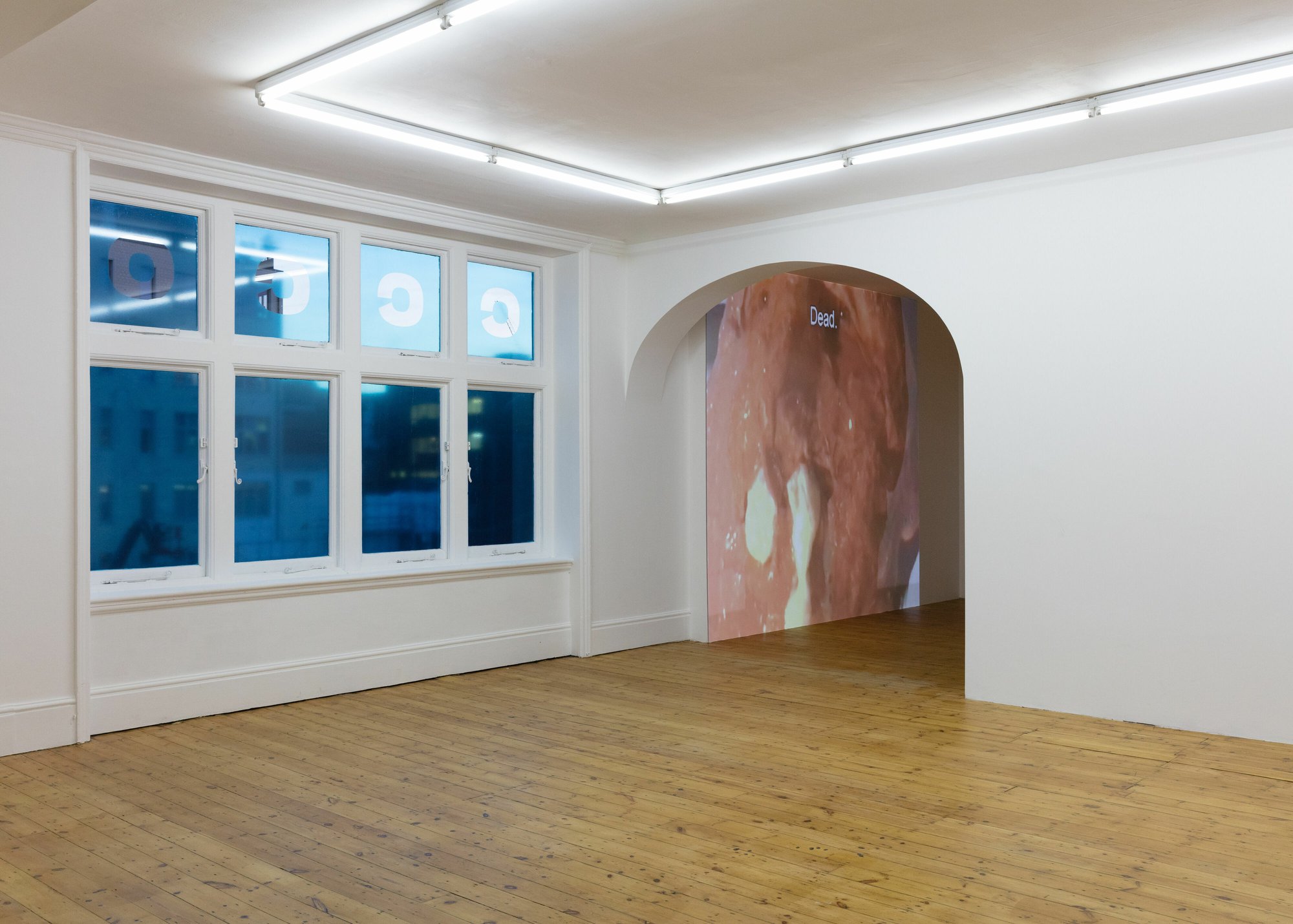 Installation view, CCC, CULTURAL CAPITAL COOPERATIVE OBJECT #1 &amp; 2, Rodeo, London, 2017