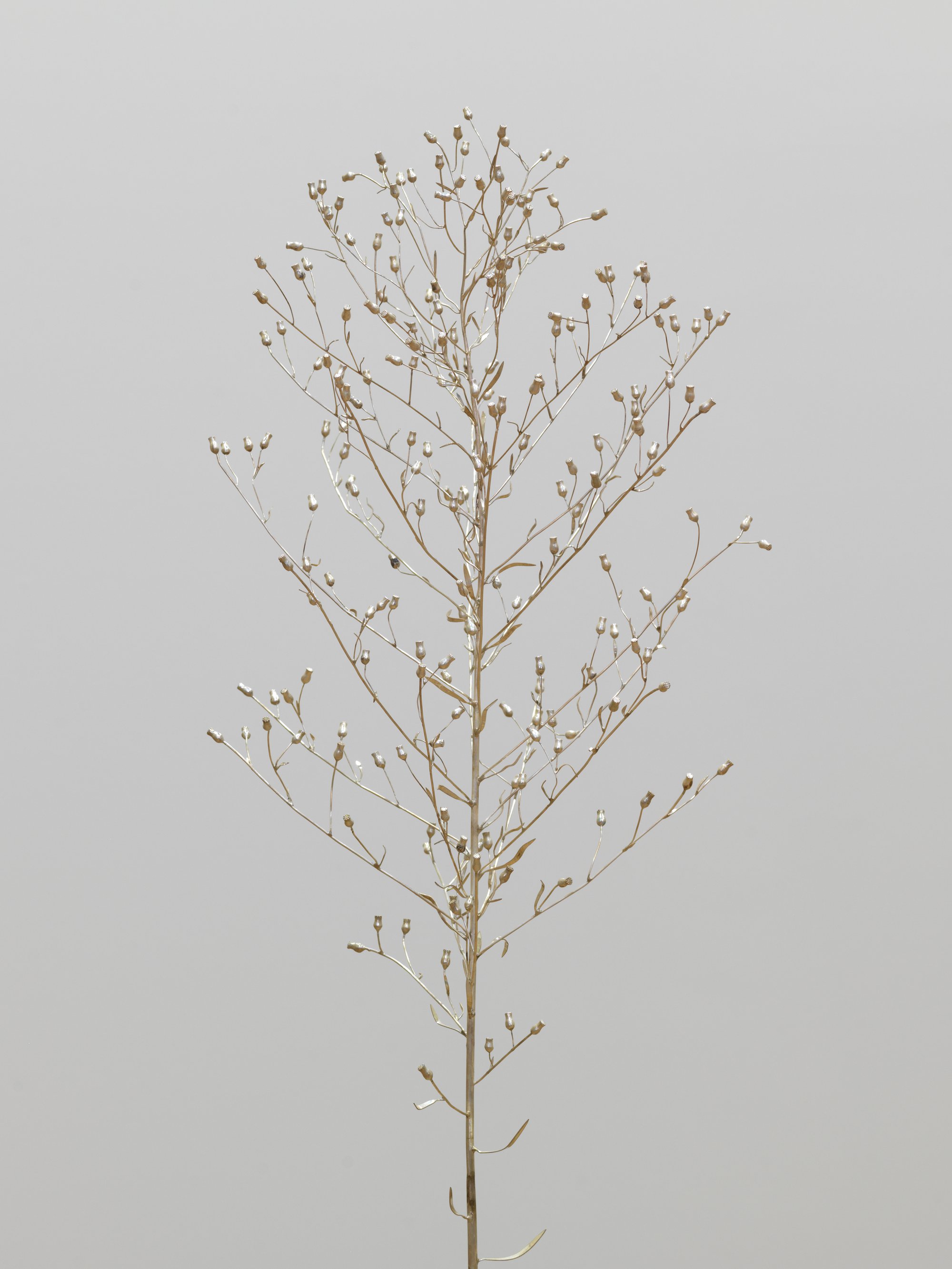 Christodoulos Panayiotou, Horseweed, detail, sterling silver sculpture, approx. 130 x 25 x 25 cm, 2021