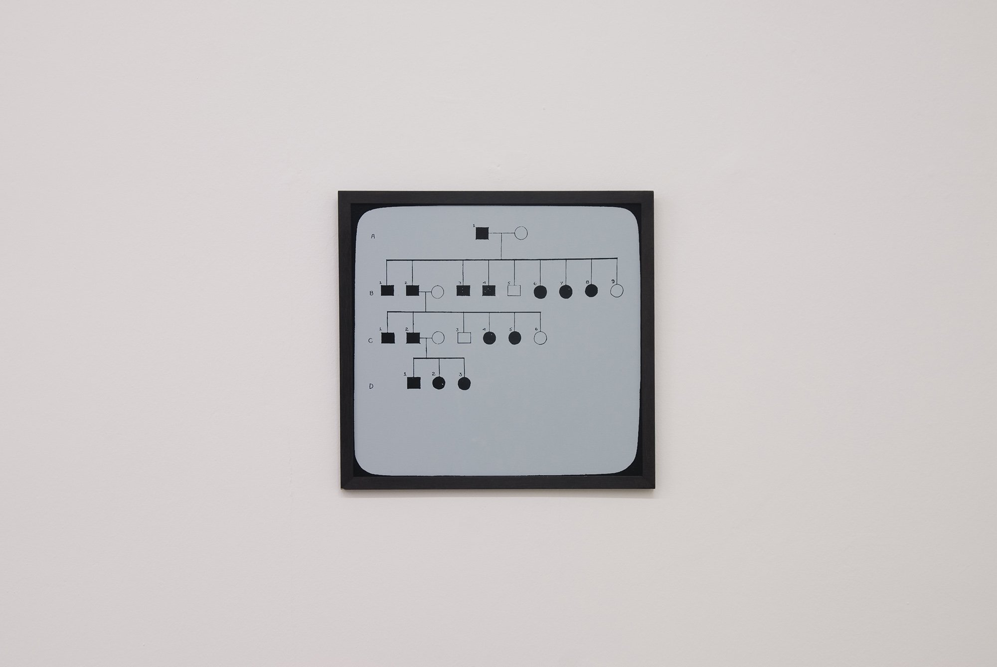 Gabriel Lester, Pedigree-A-B-W-family-musical-literary-and inventive-ability, silkscreen, 37 x 35 cm, 2010. Installation view, DiLSiZ, Rodeo, Istanbul, 2010 – 2011