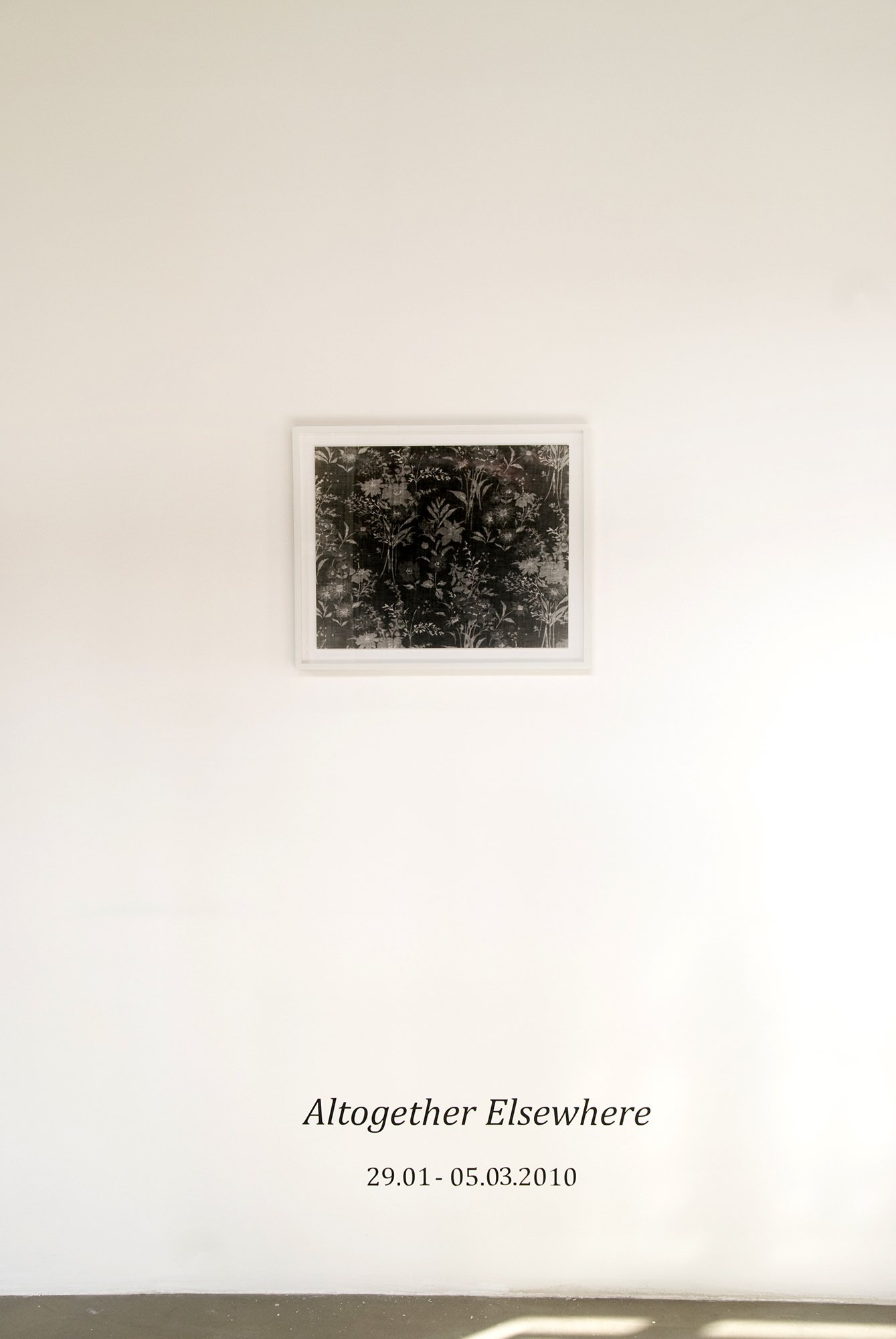 Jason Kalogiros, Black &amp; White Floral, gelatin-silver photogram, 2007. Installation view, Altogether Elsewhere, Rodeo, Istanbul, 2010