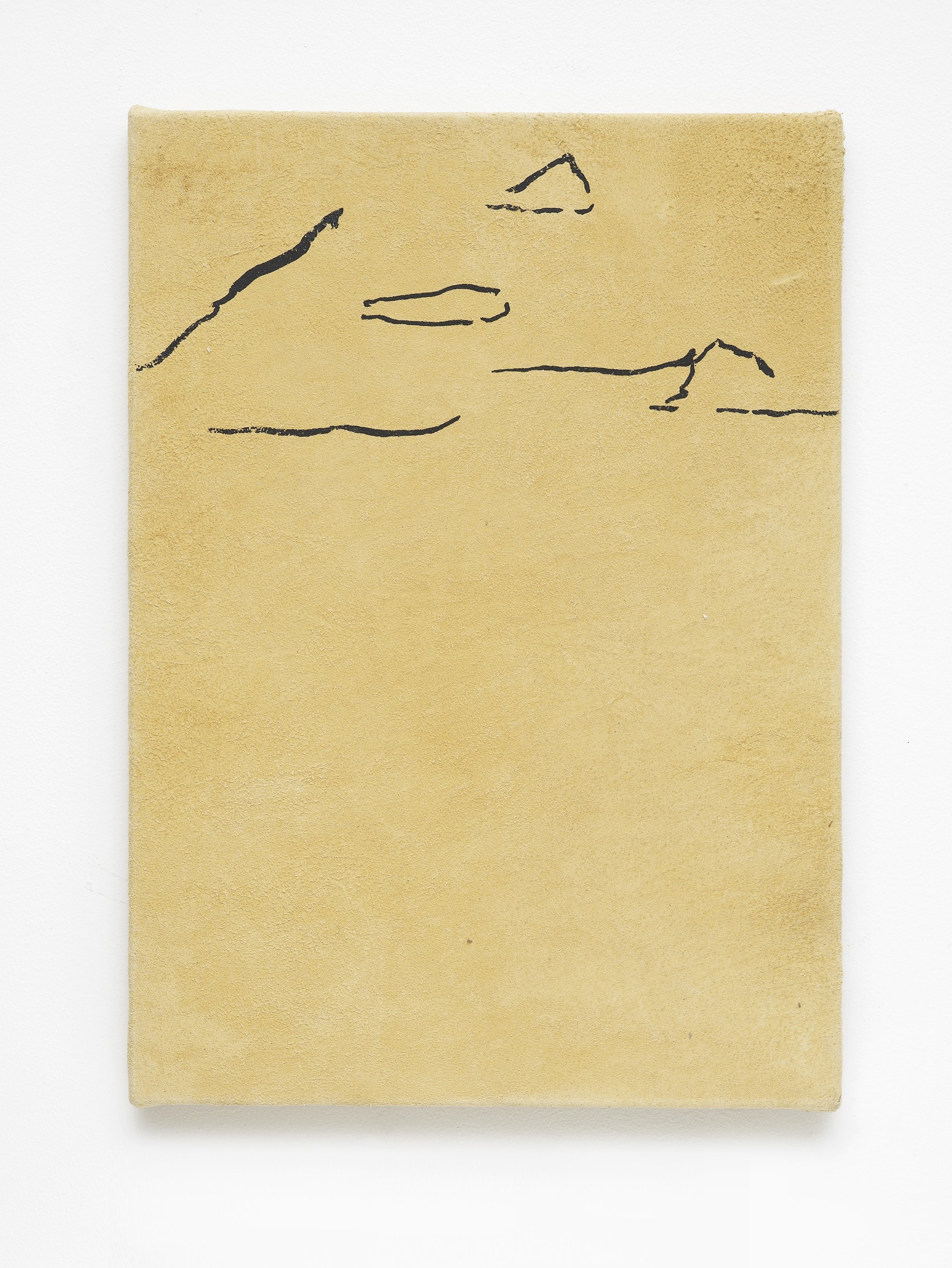 Ian Law, untitled, water based pigment ink on chamois leather, 36 x 25.2 cm, 2013
