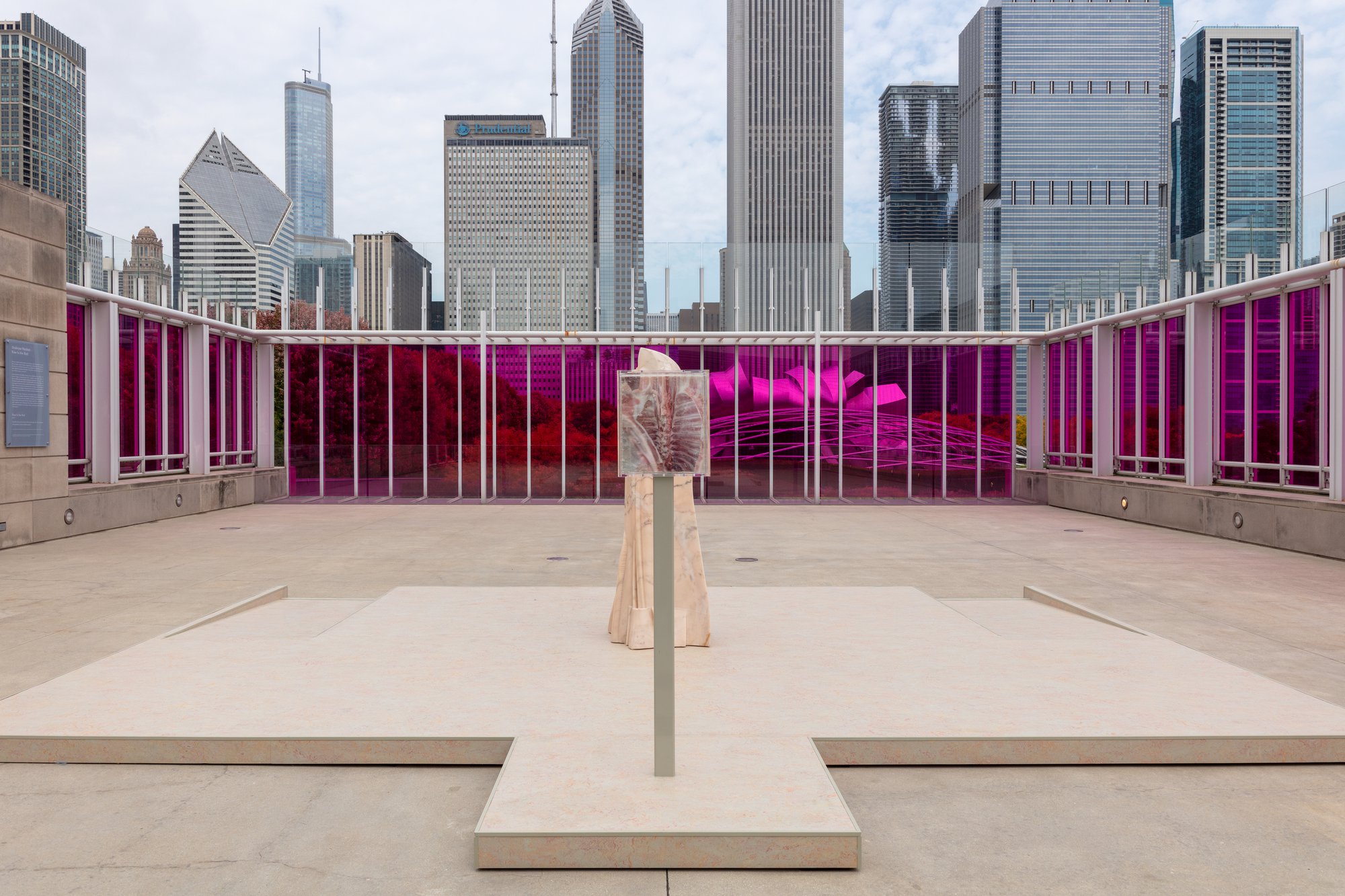 Shahryar Nashat, Installation View, Raw is Red, Art Institute of Chicago, Chicago, 2022