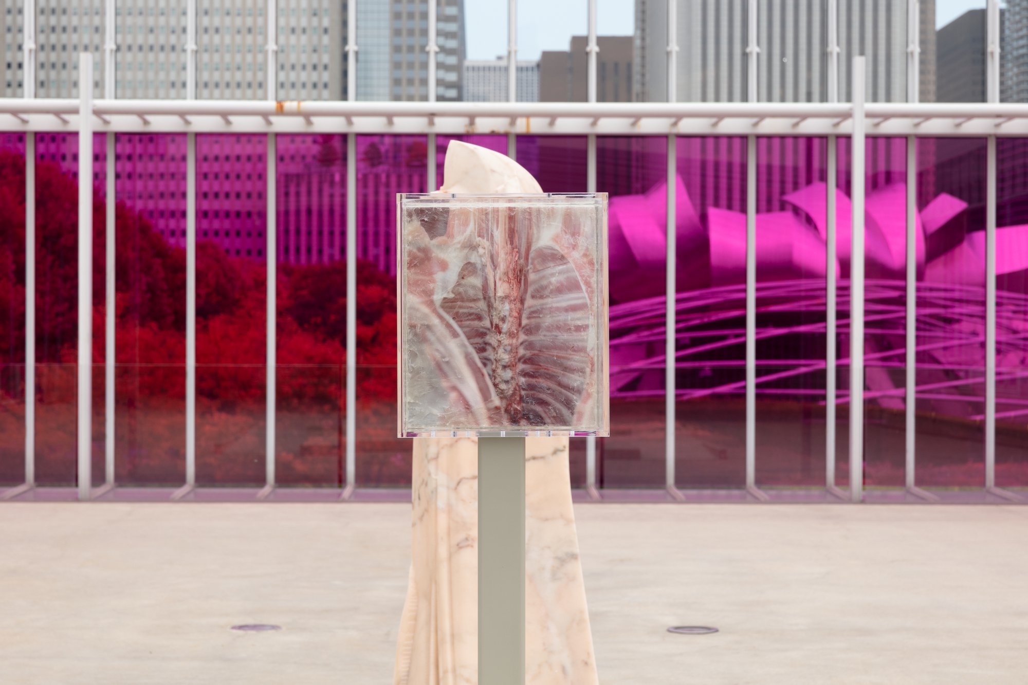 Installation View, Shahryar Nashat, Raw is Red, Art Institute of Chicago, Chicago, 2022
