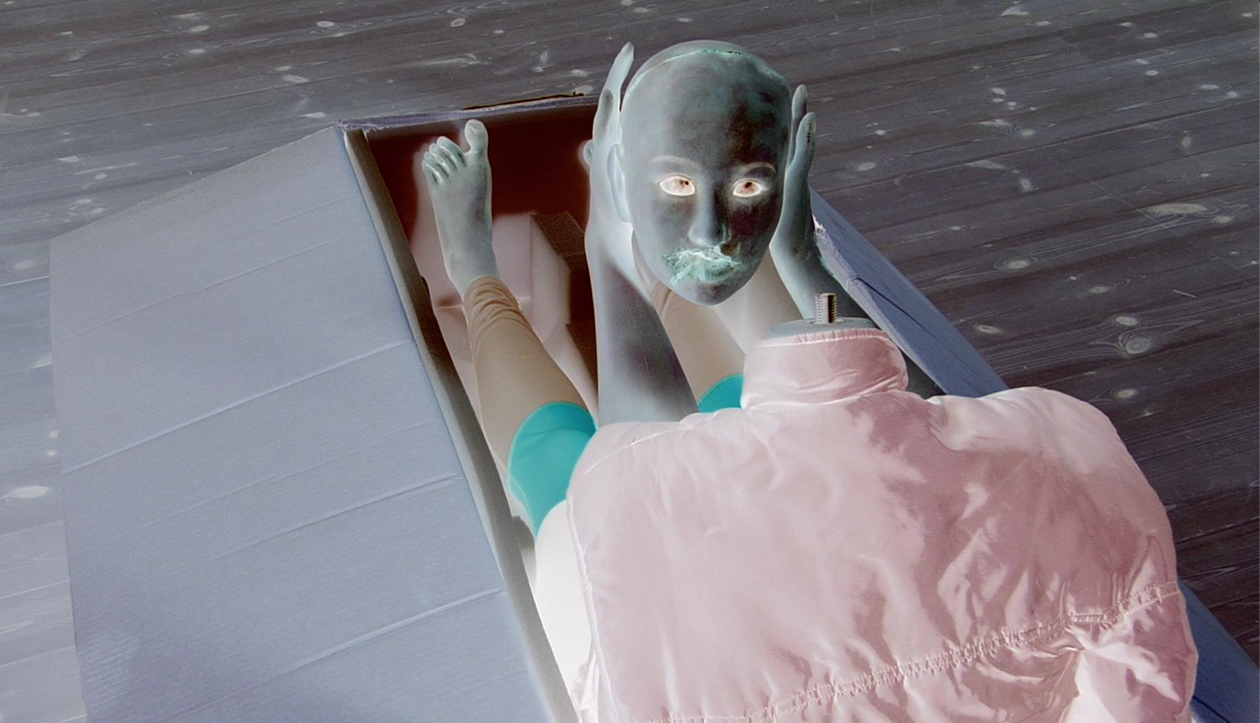 Sidsel Meineche Hansen, Love Doll Resurrect, digital video in colour, with Therese Henningsen, 57 sec., 2019