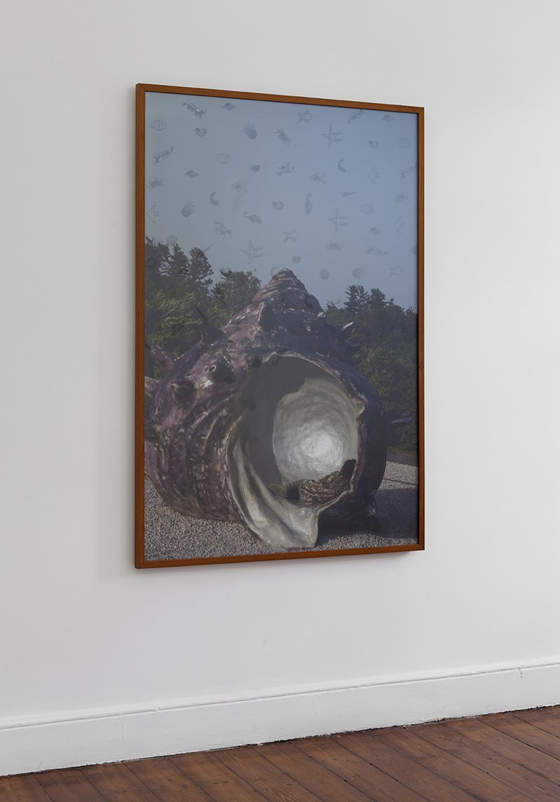Banu Cennetoğlu, just the two of us / sadece ikimiz, photograph, digital print, framed, 90 x 135 cm, 2015