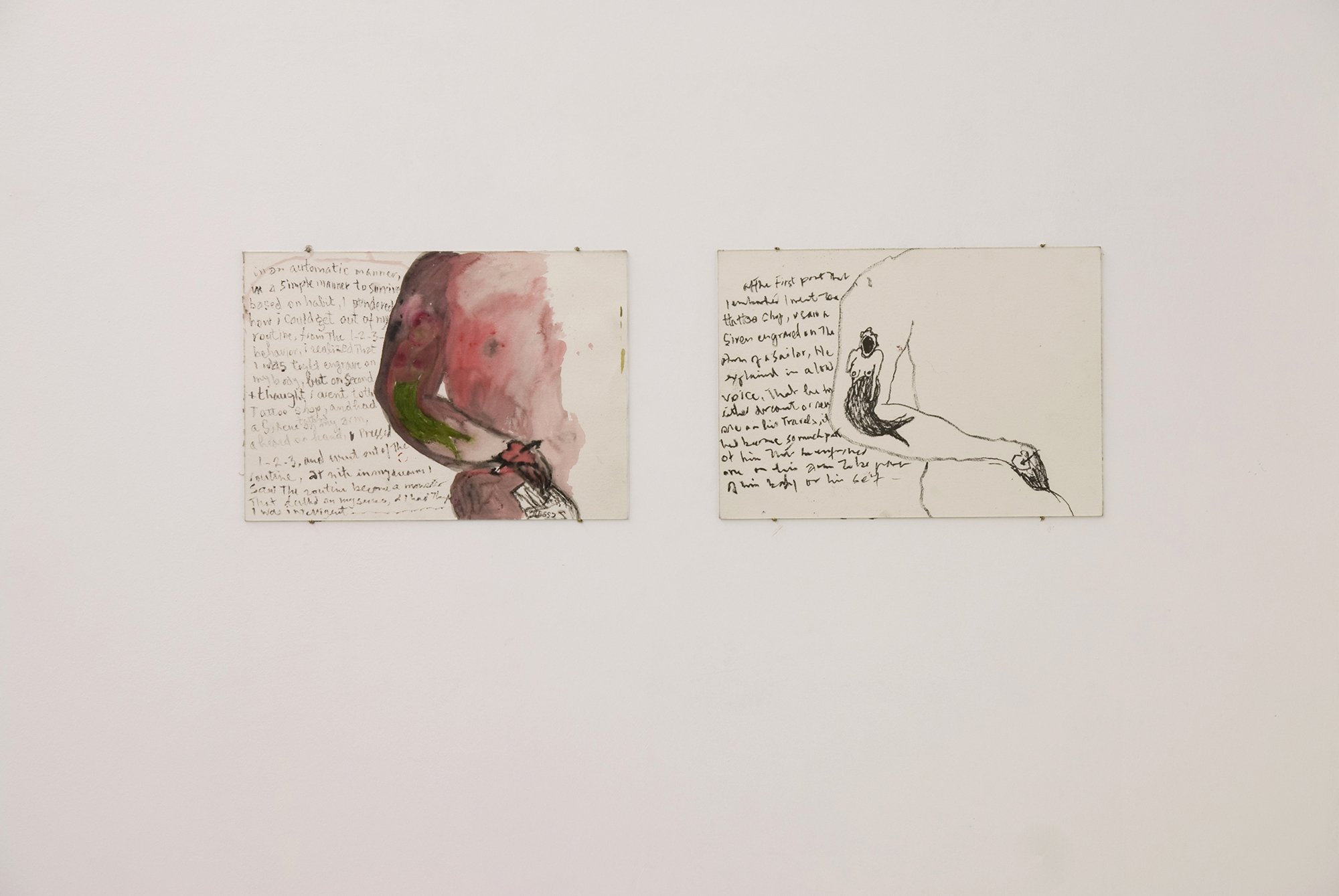 Anna Boghiguian, I sowed gardens in my soul, I drew gardens on my body, I had my nightmares engraved on my face, I cried and I laughed, I became part of humanity, wax and watercolors on paper, 42 x 29.5cm, 2009. Installation view, Hand in Hand, Rodeo, Istanbul, 2009 – 2010